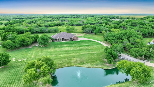 128 Whispering Winds Dr, Gunter, TX 75058 - view from above of property with a large body of water