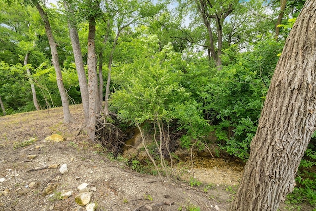 1416 Bearpath Way, Gunter, TX 75058 - view of undeveloped land