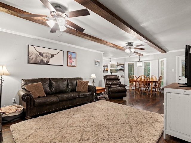 536 Nathan St, Burleson, TX 76028 - living area featuring a ceiling fan, dark wood-style floors, beam ceiling, and crown molding