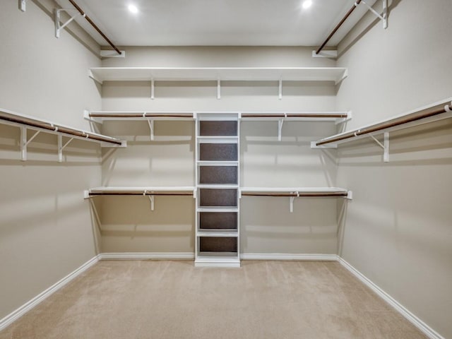 3604 Camino Trl, Mckinney, TX 75070 - spacious closet featuring light carpet