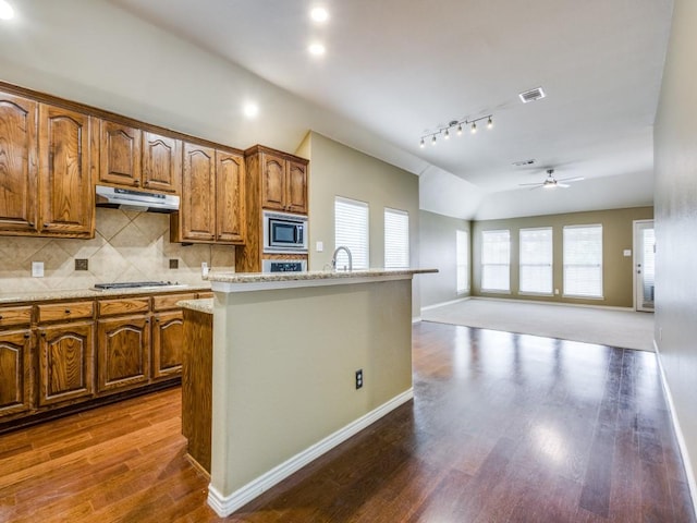 3604 Camino Trl, Mckinney, TX 75070 - kitchen featuring stainless steel appliances, under cabinet range hood, lofted ceiling, a ceiling fan, and tasteful backsplash