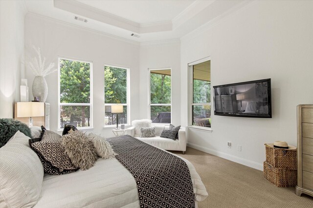10933 Smoky Oak Trl, Flower Mound, TX 76226 - carpeted bedroom with ornamental molding, a raised ceiling, and baseboards