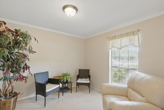 1508 Haven Pl, Allen, TX 75002 - sitting room featuring light carpet, ornamental molding, baseboards, and a textured ceiling