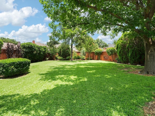 6301 Bermuda Dunes Dr, Plano, TX 75093 - view of yard