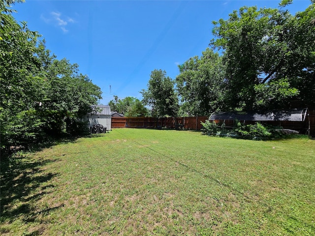 203 Hollywood St, Coleman, TX 76834 - view of yard