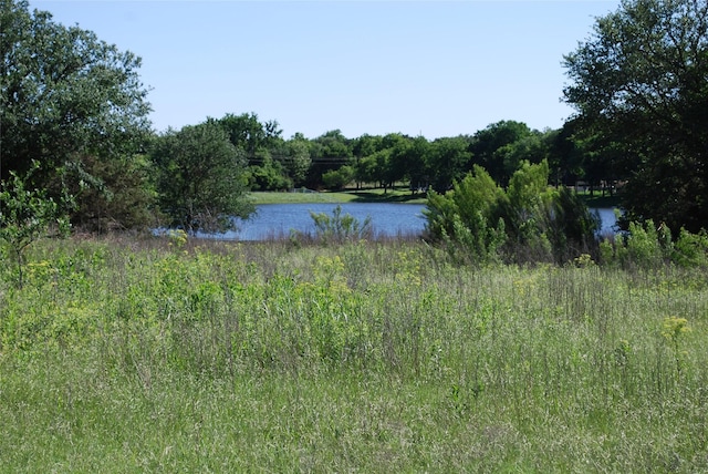 4006 Whitecrest Dr, Whitney, TX 76692