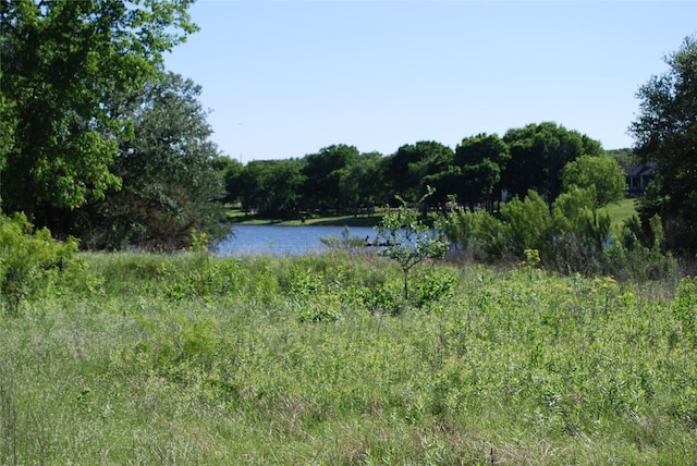 4006 Whitecrest Dr, Whitney, TX 76692