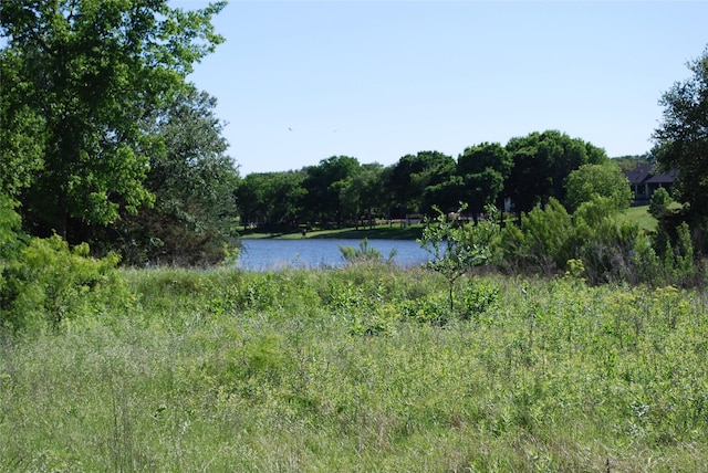 4006 Whitecrest Dr, Whitney, TX 76692