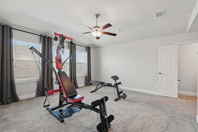 6105 Hightower St, Celina, TX 76227 - exercise area featuring carpet flooring, a ceiling fan, baseboards, and healthy amount of natural light