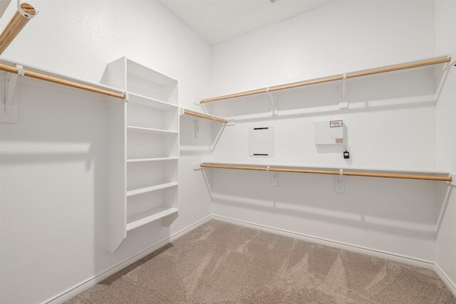 2627 Askern Ct, Grand Prairie, TX 75052 - spacious closet with carpet floors