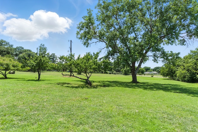 11720 Lavender Ave, Azle, TX 76020 - view of grassy yard