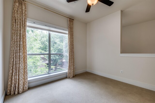 4830 Cedar Springs Rd Unit 12, Dallas, TX 75219 - empty room with carpet, healthy amount of natural light, a ceiling fan, and baseboards