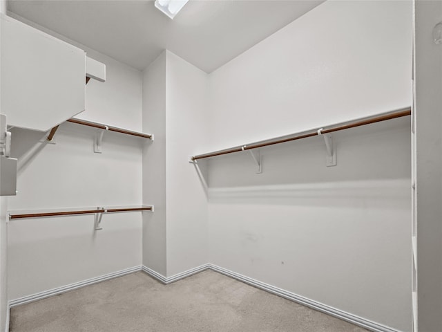 1424 Charleston Dr, Allen, TX 75002 - spacious closet with carpet floors