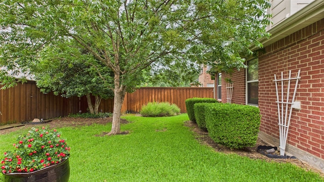1424 Charleston Dr, Allen, TX 75002 - view of yard