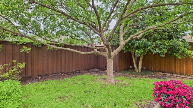 1424 Charleston Dr, Allen, TX 75002 - view of yard