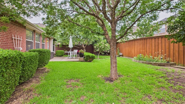 1424 Charleston Dr, Allen, TX 75002 - view of yard with a patio area
