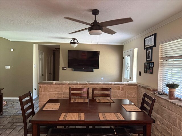 4 Preston Pl, Mineral Wells, TX 76067 - dining room featuring plenty of natural light, crown molding, a ceiling fan, and a textured ceiling