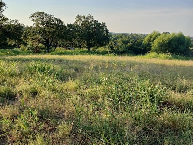 787 Greenwood Ln, Forestburg, TX 76239
