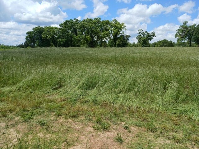 787 Greenwood Ln, Forestburg, TX 76239