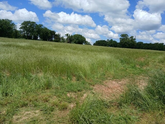 787 Greenwood Ln, Forestburg, TX 76239
