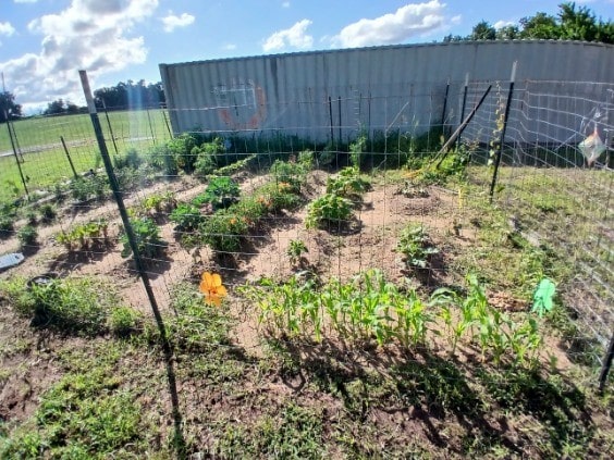 787 Greenwood Ln, Forestburg, TX 76239