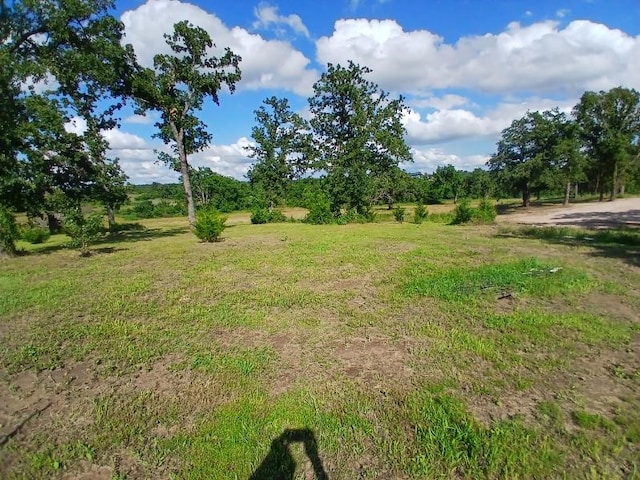 787 Greenwood Ln, Forestburg, TX 76239