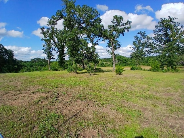 787 Greenwood Ln, Forestburg, TX 76239