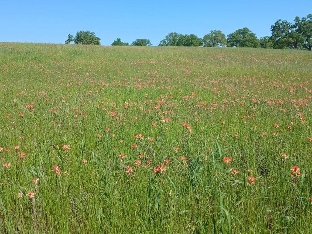 787 Greenwood Ln, Forestburg, TX 76239
