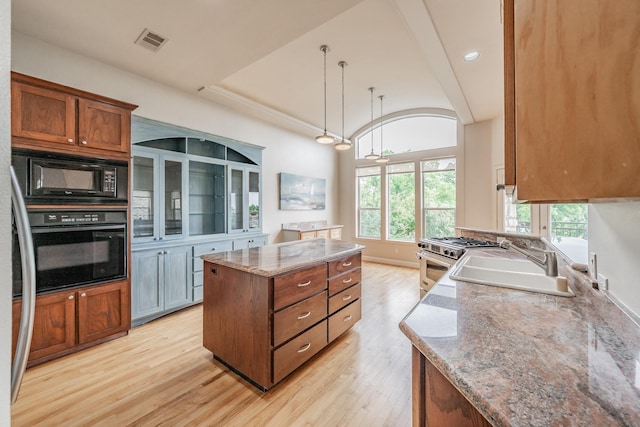 11 Intrepid Cir, Rockwall, TX 75032 - kitchen with black appliances, a sink, healthy amount of natural light, a kitchen island, and lofted ceiling