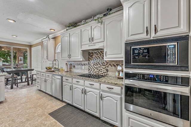 2829 Flint Rock Dr, Fort Worth, TX 76131 - kitchen with black appliances, a sink, tasteful backsplash, ornamental molding, and light stone counters