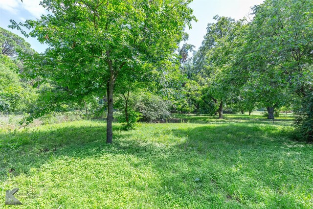 202 E Ross St, Rising Star, TX 76471 - view of yard