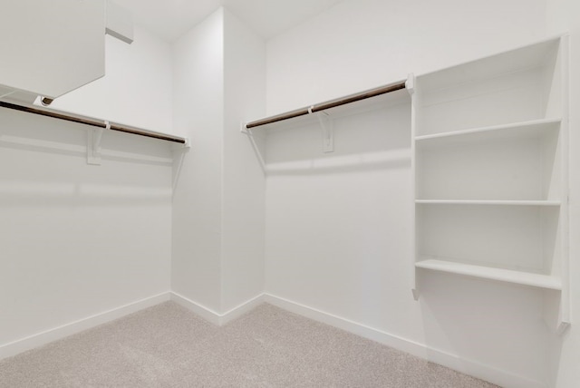 1321 Francesca Dr, Little Elm, TX 75068 - walk in closet with carpet floors