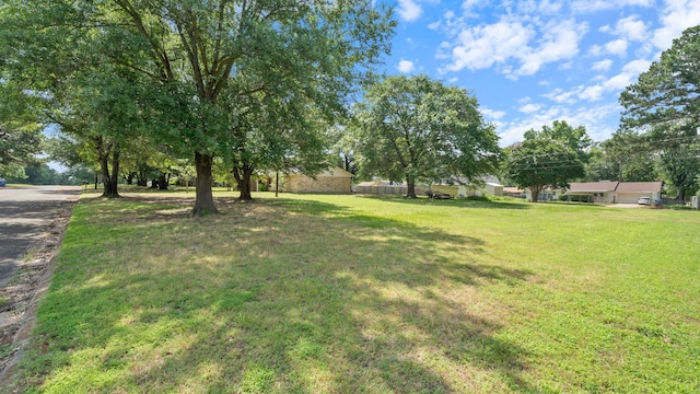 1015 Monte Carlo Dr, Grand Saline, TX 75140 - view of grassy yard