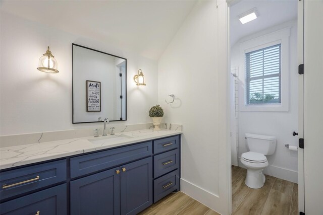 36 Mirror Lakes Ct, Gunter, TX 75058 - bathroom featuring vanity, wood finished floors, toilet, baseboards, and vaulted ceiling