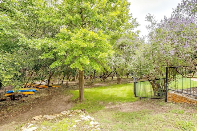 1717 Woodridge Ct, Aledo, TX 76008 - view of yard