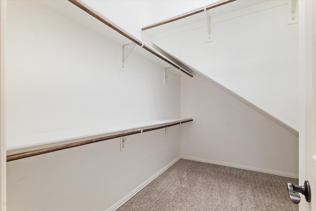 1108 Summer Ln, Mckinney, TX 75071 - walk in closet featuring light colored carpet
