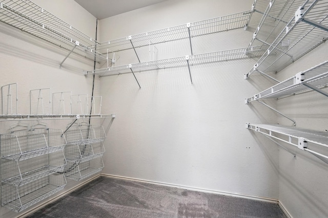 99 Glen Abbey St, Abilene, TX 79606 - walk in closet featuring carpet