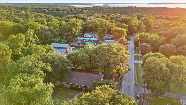 891 Lazy Acres Cir, Pottsboro, TX 75076 - aerial view of a forest and a nearby body of water