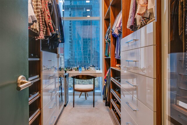 1918 N Olive St Unit 302, Dallas, TX 75201 - spacious closet featuring carpet flooring