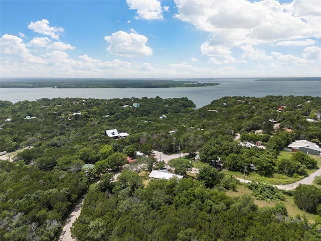 102 Creek Dr, Whitney, TX 76692 - bird's eye view of a heavily wooded area and a nearby body of water