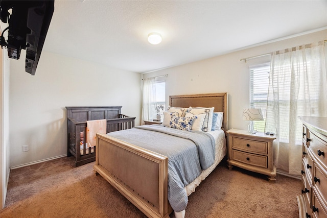 806 Opal Path, Princeton, TX 75407 - view of carpeted bedroom