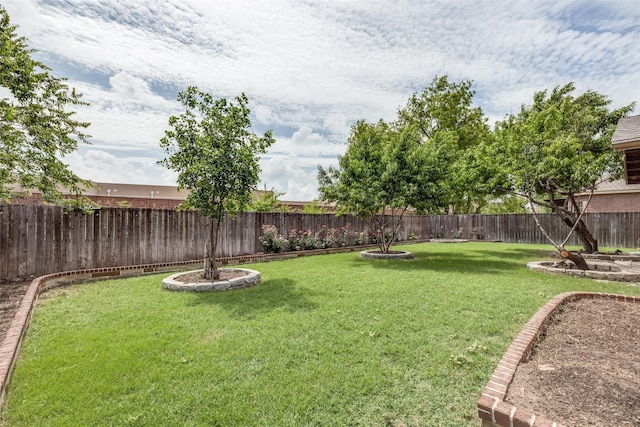5283 W Cove Way, Grand Prairie, TX 75052 - view of yard