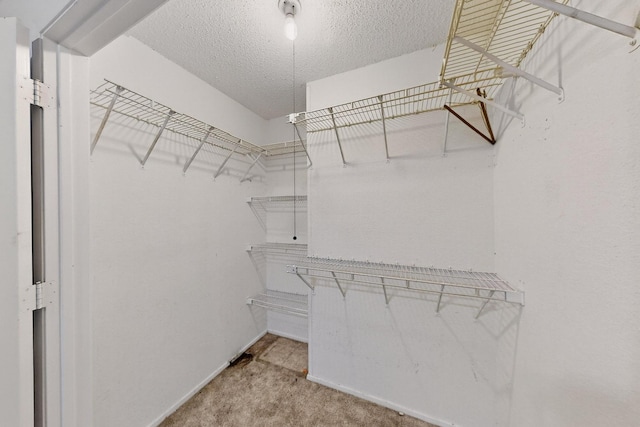 8512 Whitney Dr, White Settlement, TX 76108 - walk in closet with carpet