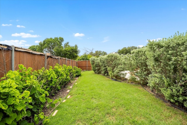 1230 Donegal Ln, Garland, TX 75044 - view of yard
