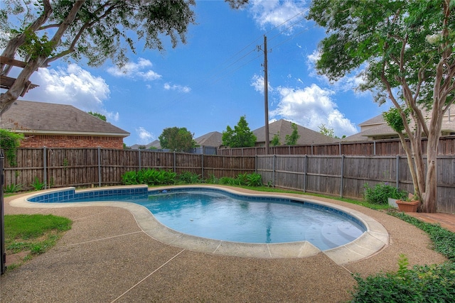 6613 Springmeadow Ln, Rowlett, TX 75089 - view of swimming pool featuring a fenced backyard