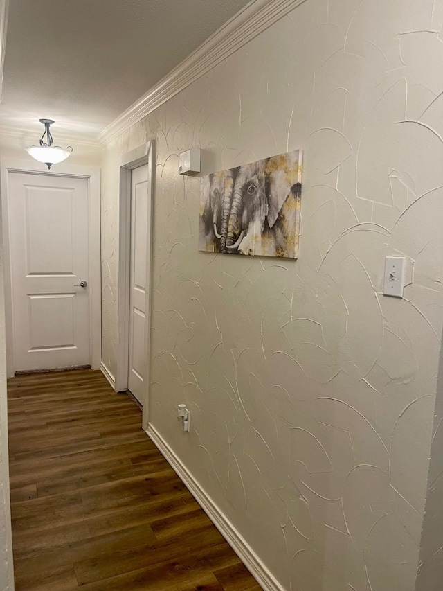2605 Twinpost Ct, Irving, TX 75062 - hallway with dark wood-type flooring, crown molding, and baseboards