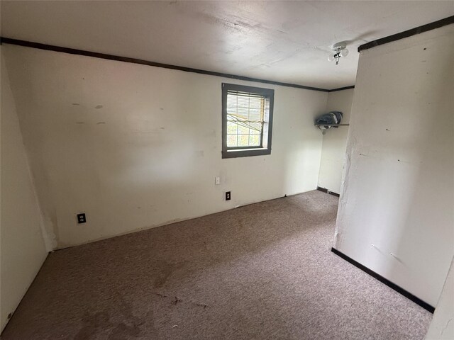 309 E Housley St, Strawn, TX 76475 - carpeted empty room with crown molding