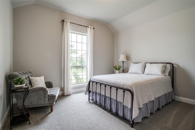 9712 Surveyor Rd, Little Elm, TX 75068 - bedroom featuring lofted ceiling, light carpet, baseboards, and multiple windows