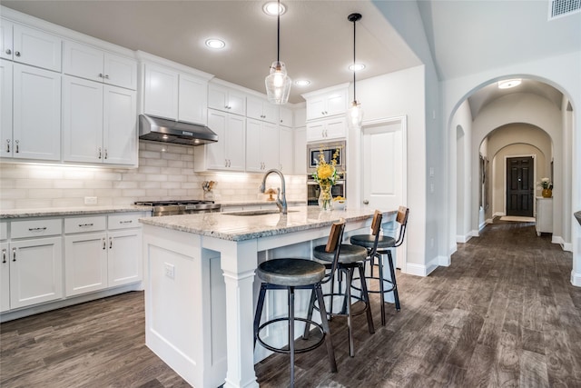 9712 Surveyor Rd, Little Elm, TX 75068 - kitchen featuring under cabinet range hood, a sink, stainless steel appliances, arched walkways, and white cabinets