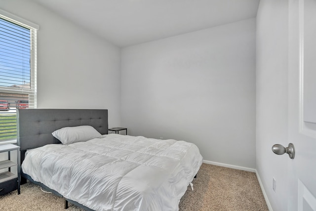 9752 New Bern Dr, Fort Worth, TX 76108 - bedroom featuring multiple windows, carpet flooring, and baseboards